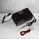 DL 48V 96Ah LifePO4 Deep Cycle Lithium Battery for Golf Carts EV Solar - Free 48V 8A Charger Included